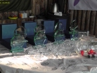Aukso Žvynas Taurė 2014